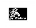 ZEBRA.jpg