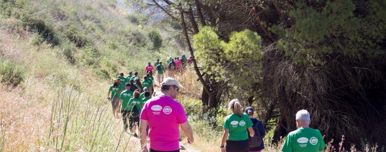 5.ª Caminhada Solidária Viver+ entregou mais de uma centena de quilos de alimentos