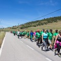 5.ª Caminhada Solidária Viver+ entregou mais de uma centena de quilos de alimentos