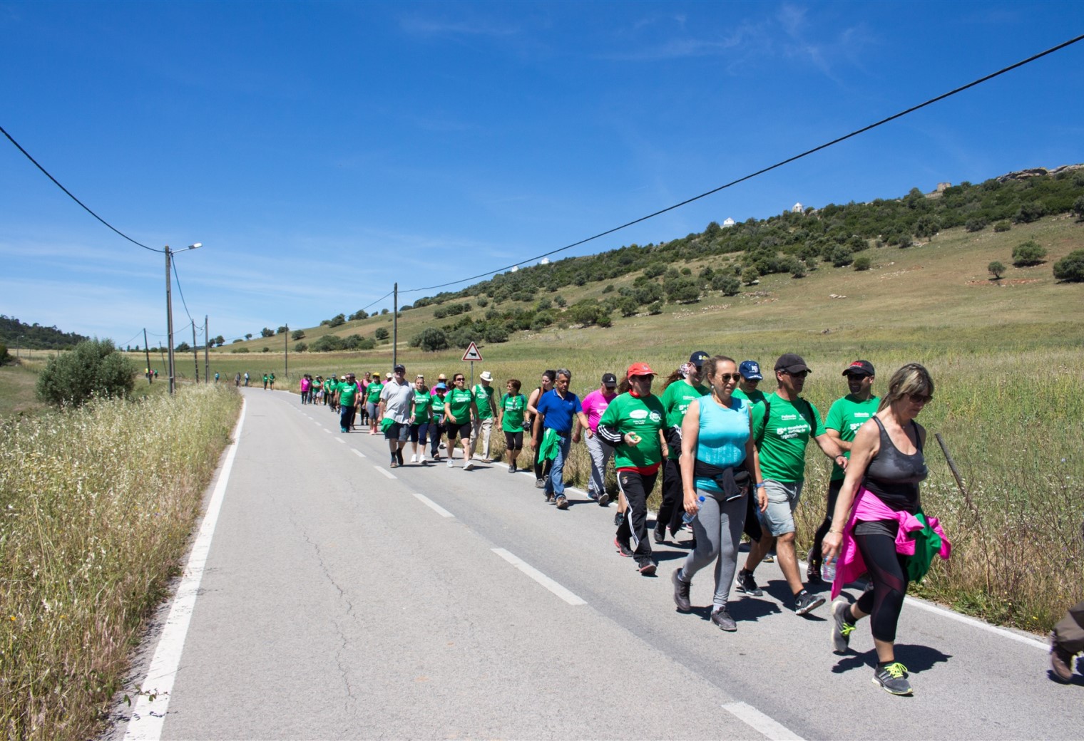 5.ª Caminhada Solidária Viver+ entregou mais de uma centena de quilos de alimentos