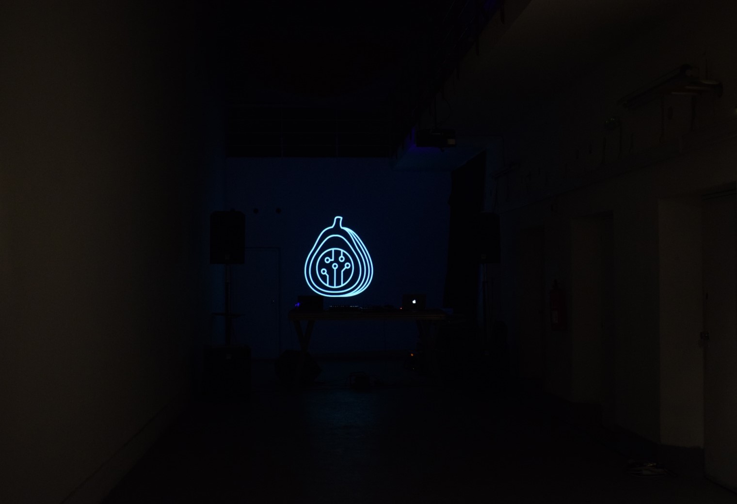 Party Electronic Fig Picking