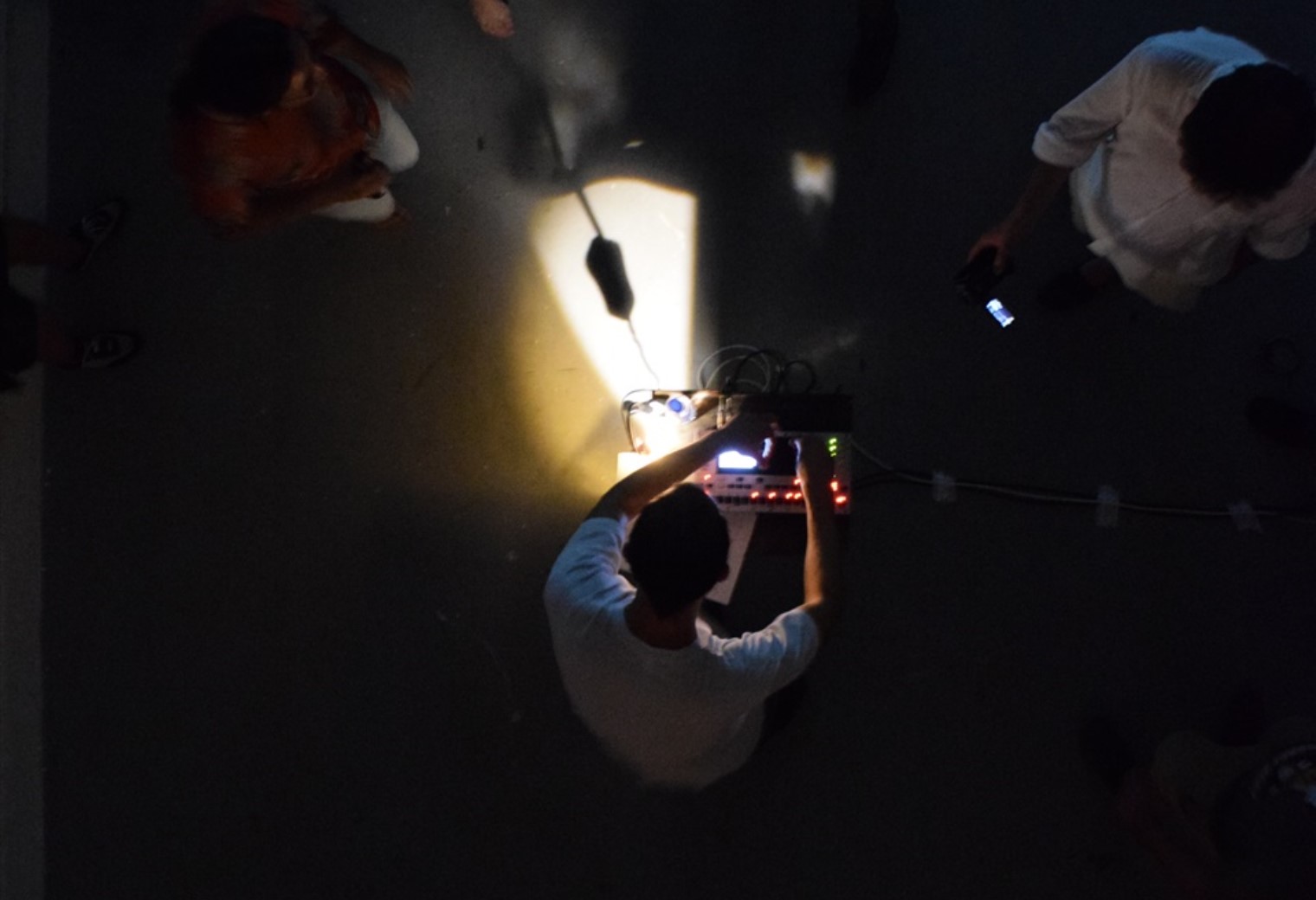 Party Electronic Fig Picking