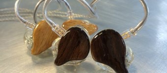 EARS4U In Ear Monitors