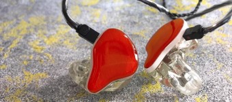 EARS4U In Ear Monitors
