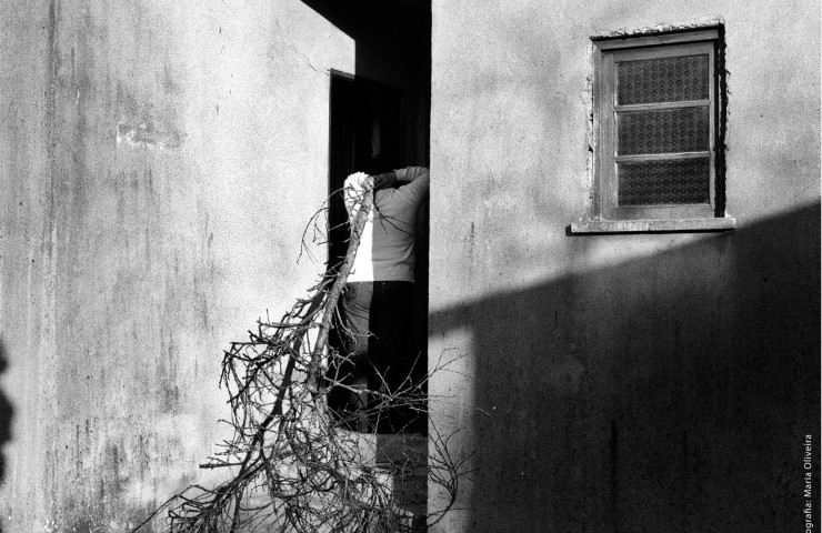 Collective Exhibition of Ci.clo  - Photography Platform