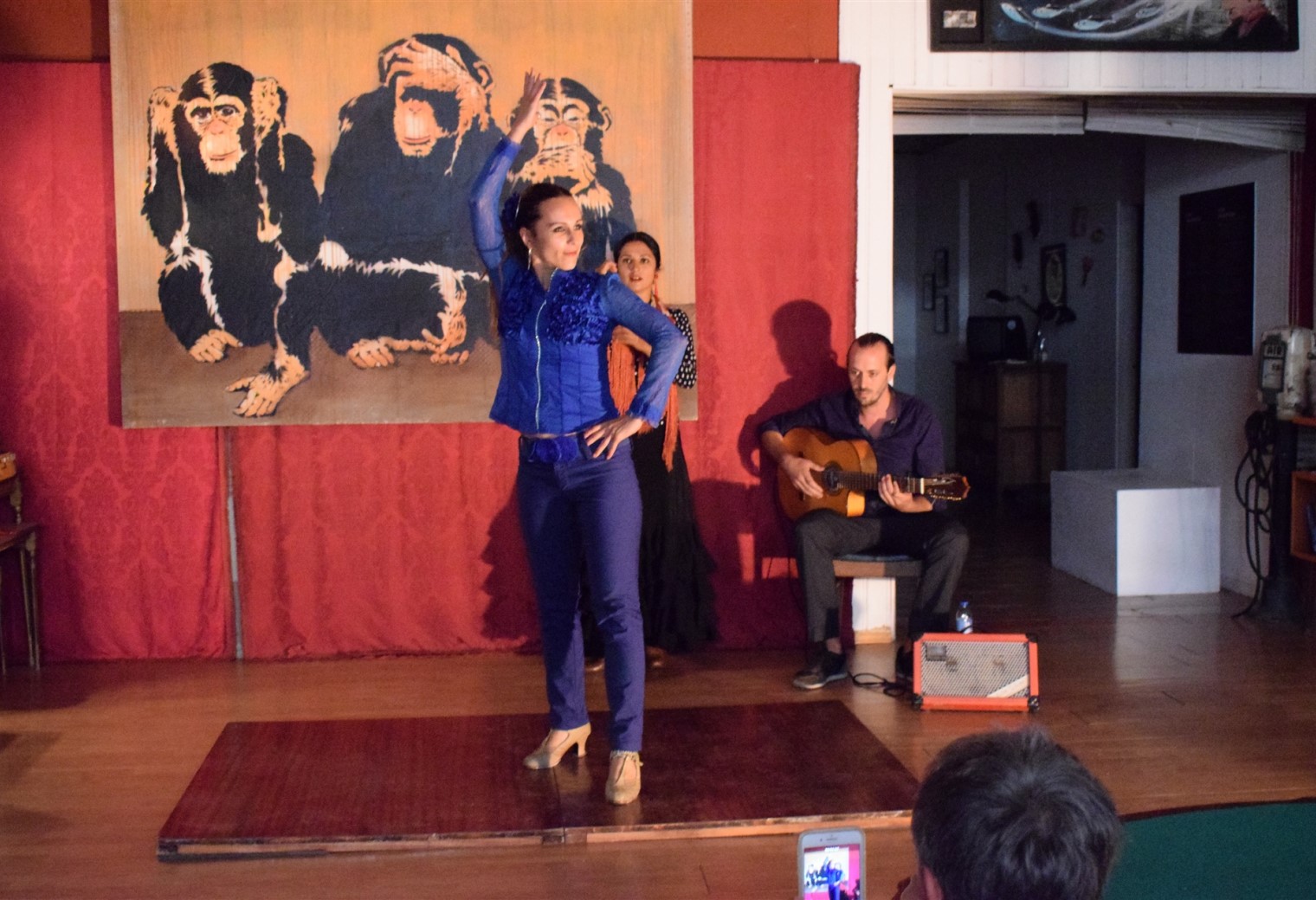 Apresentação FLAMENCO