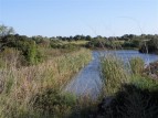P5040274Small.JPG