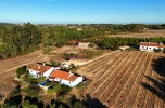 Casas - Quinta da Ribeira