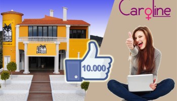 ALT_627 Mestre Raposa Portas e Janelas Facebook