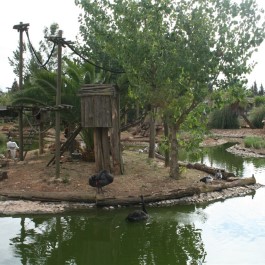 Zoo de Lagos