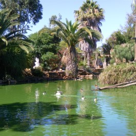 Zoo de Lagos