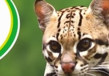Zoo de Lagos