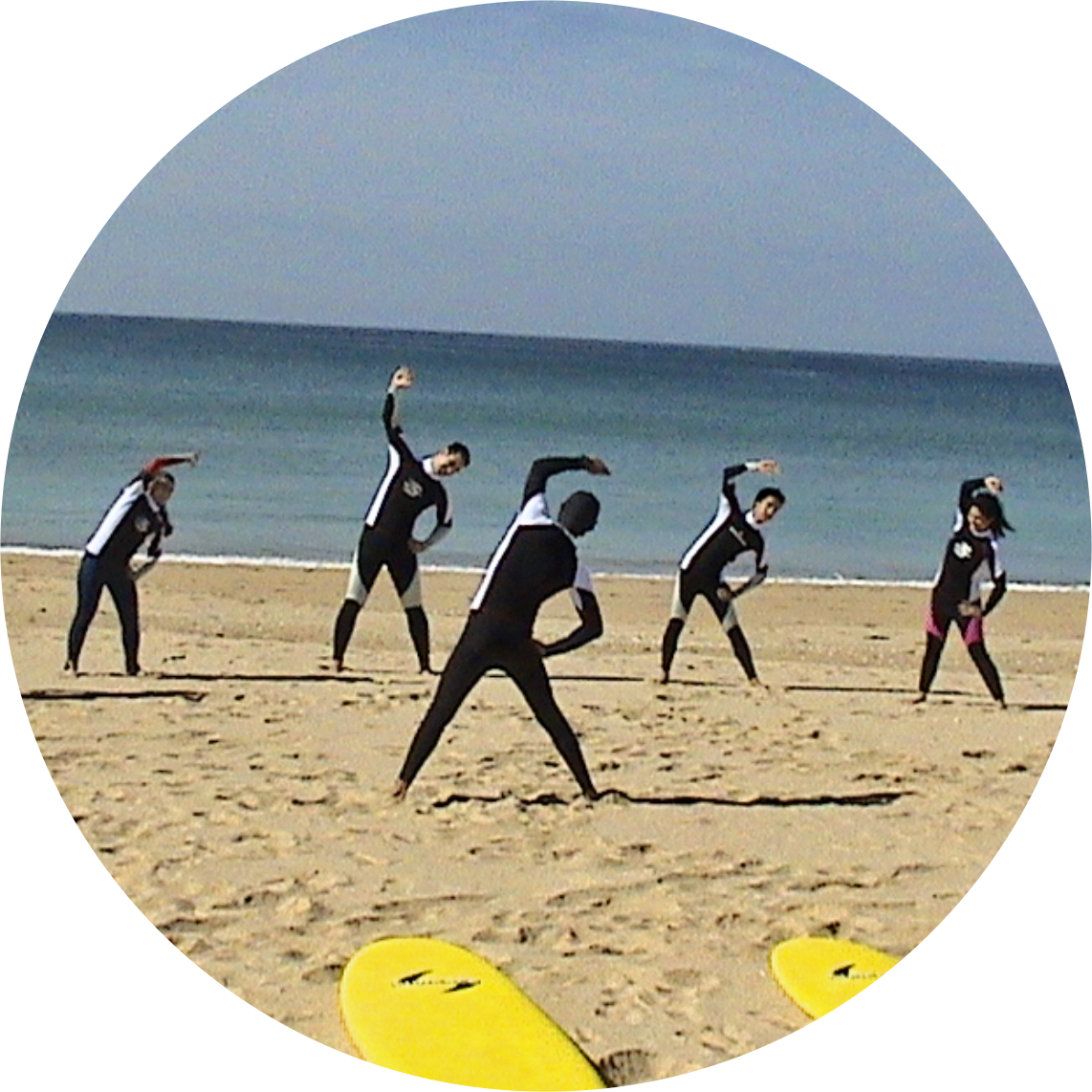surf1.png surf1.png