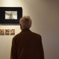 Exhibition "About Trees"