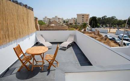 Apart. with 2 large terraces (2C)