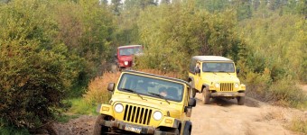  Buggy Tour or Jeep Safari