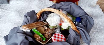 Romantisches Picknick am Strand