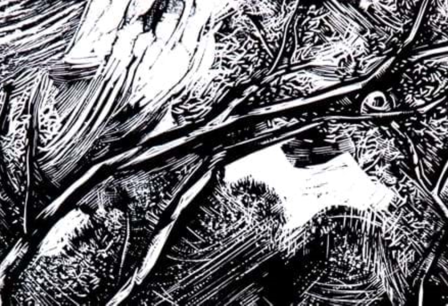 Laboratório de PAPEL RECICLADO & LINOGRAVURA (Comunidade)