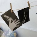 CIANOTYPE Workshop with Patrícia Leal