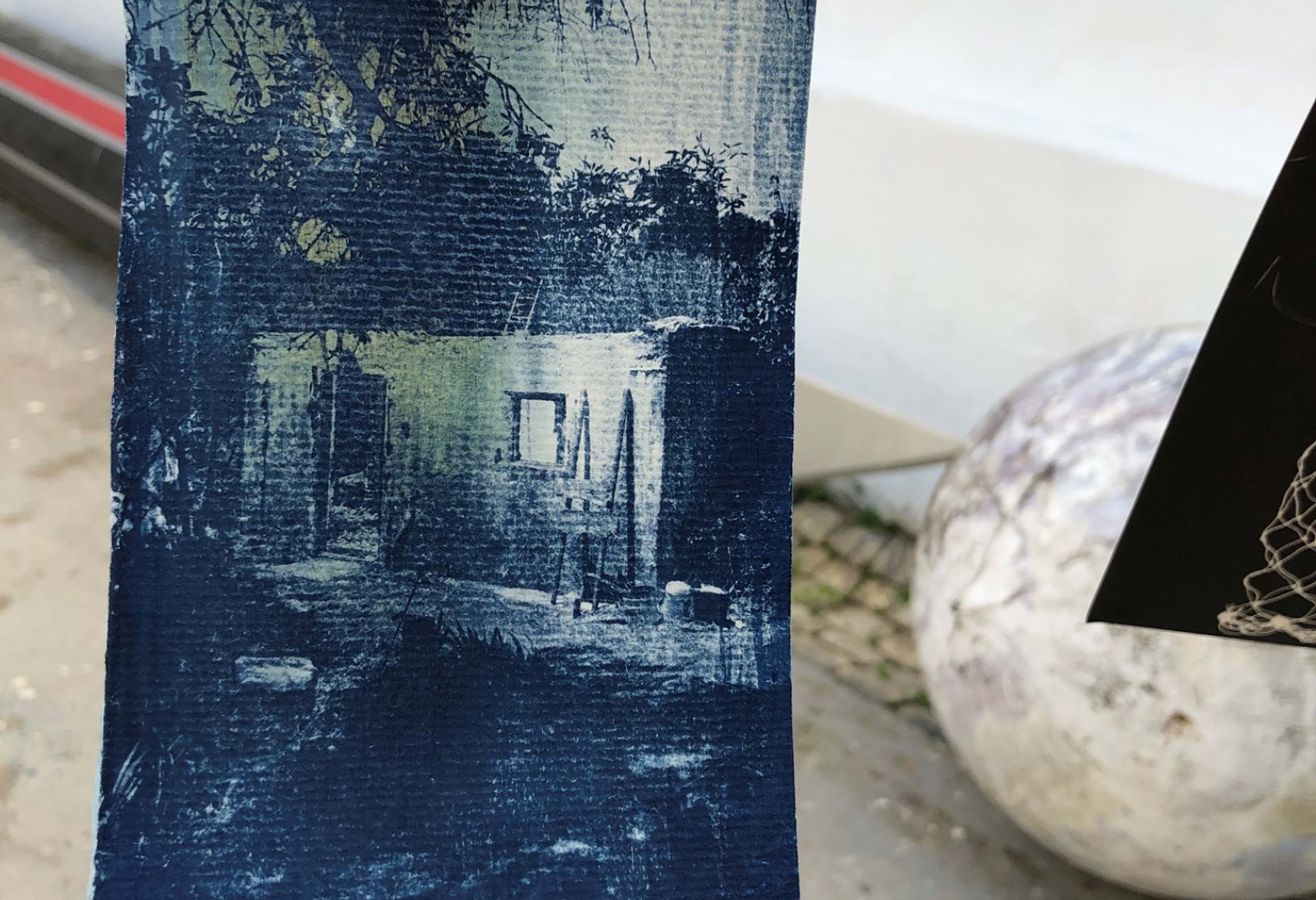 CIANOTYPE Workshop with Patrícia Leal